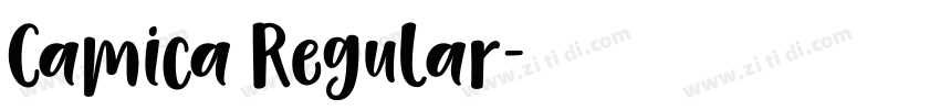 Camica Regular字体转换
